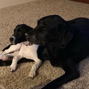 Meet your Posher, Orit